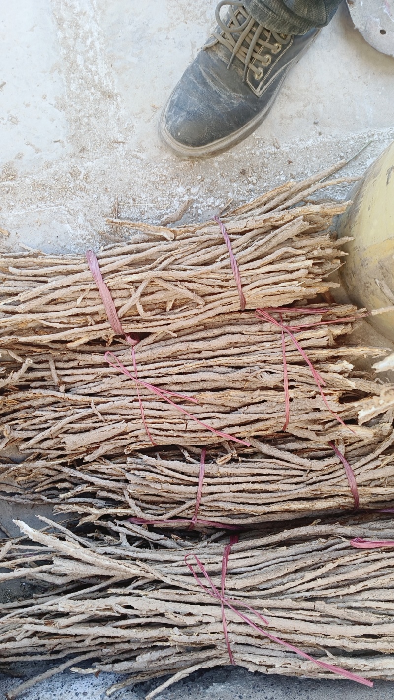 精品甜地骨皮过筛特此推荐瓜州