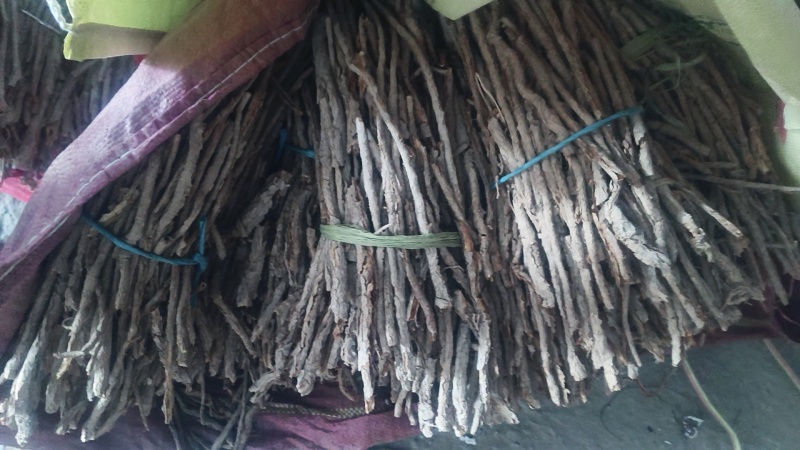精品甜地骨皮过筛特此推荐瓜州