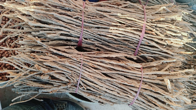 精品甜地骨皮过筛特此推荐瓜州