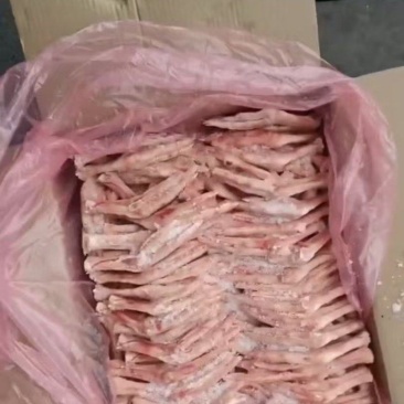 鹅掌