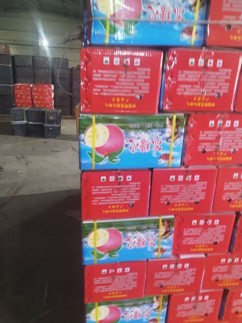 【推荐】正宗库尔勒香梨，产地直发量大从优，欢迎电话联系。