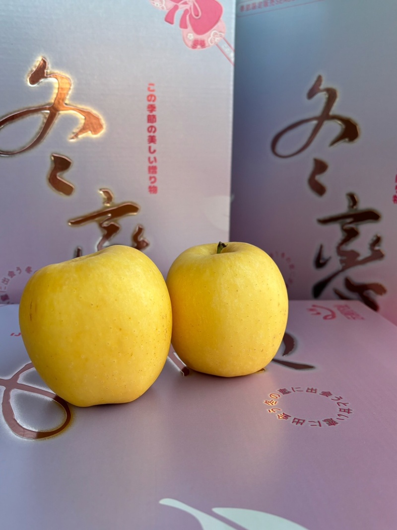 自家果园种植的维纳斯可一件代发量大都可联系