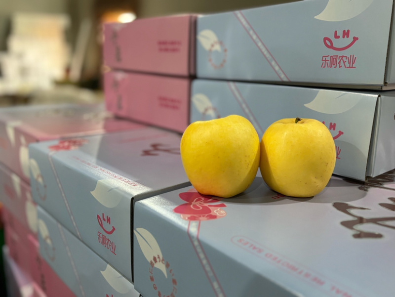 自家果园种植的维纳斯可一件代发量大都可联系