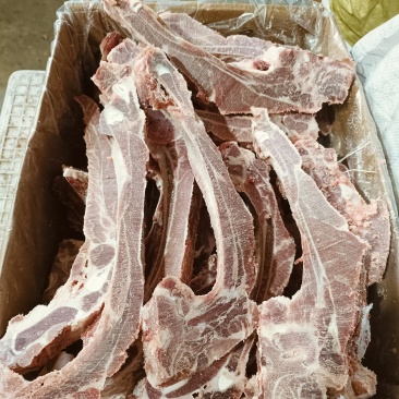 肋排条