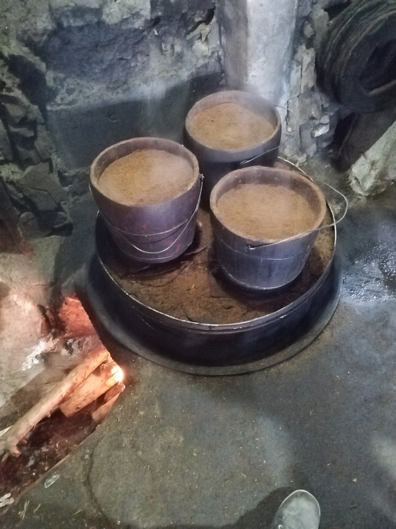 高山野生茶籽油