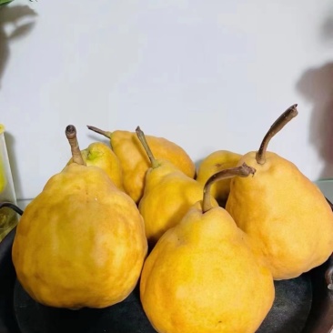 冰淇淋丑梨软嫩香甜非常适合老人小孩食用支持一件代发