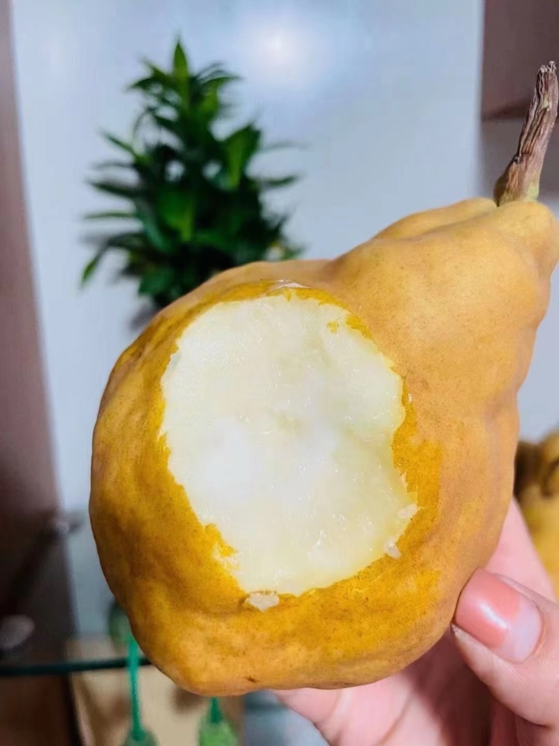 冰淇淋丑梨软嫩香甜非常适合老人小孩食用支持一件代发