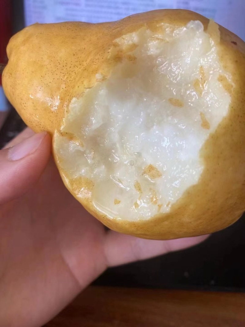 冰淇淋丑梨软嫩香甜非常适合老人小孩食用支持一件代发