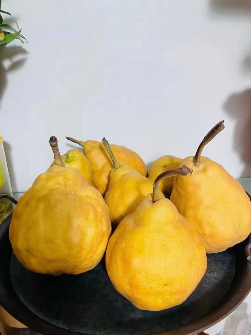 冰淇淋丑梨软嫩香甜非常适合老人小孩食用支持一件代发