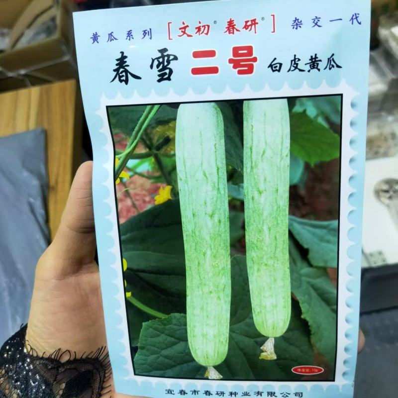 春雨二号白皮黄瓜种子早熟抗寒抗病瓜皮乳白色味甘汁多