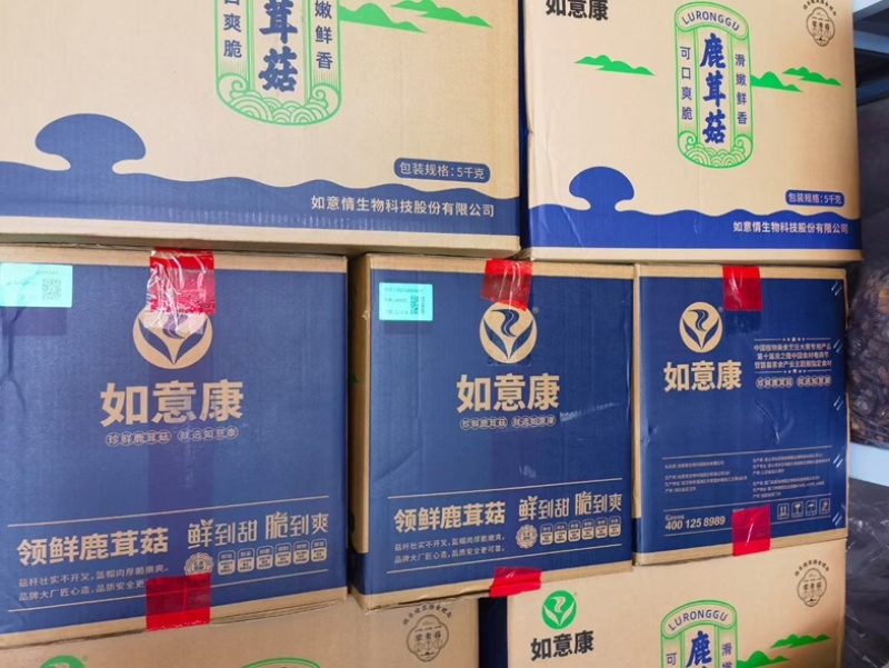 精品鹿茸菇，大量有货，产地直销，性价比高，欢迎选购