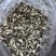 精品鹿茸菇，大量有货，产地直销，性价比高，欢迎选购