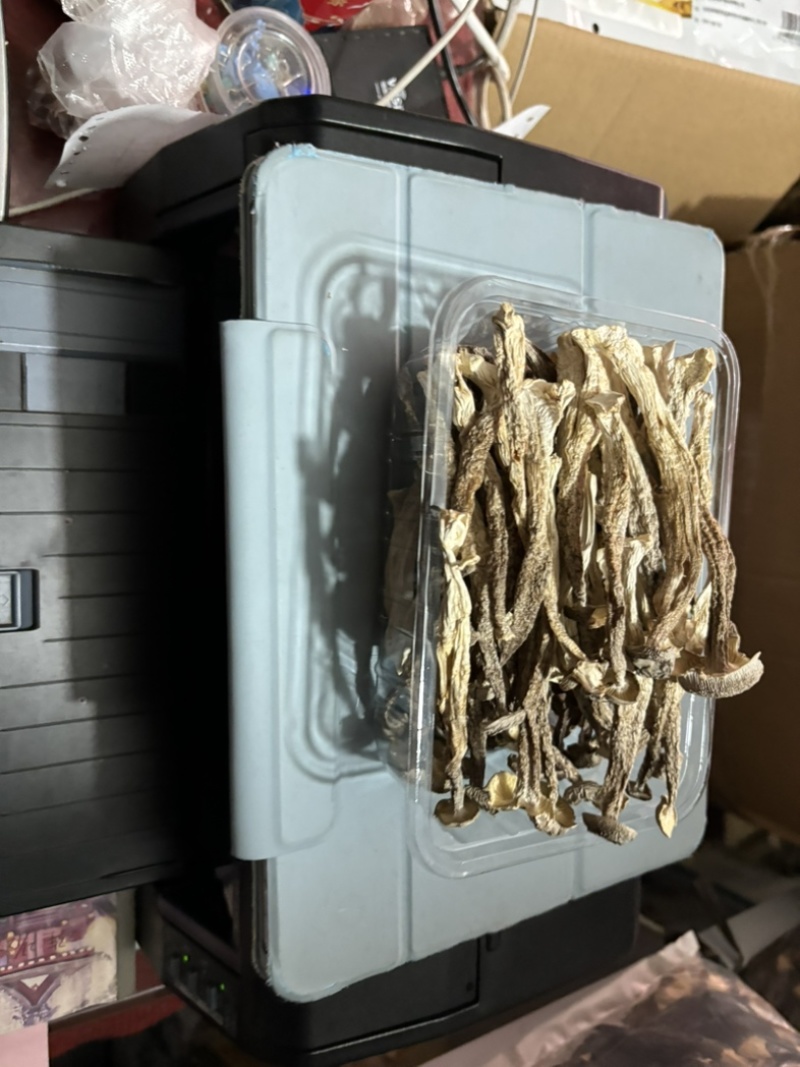 精品鹿茸菇，大量有货，产地直销，性价比高，欢迎选购