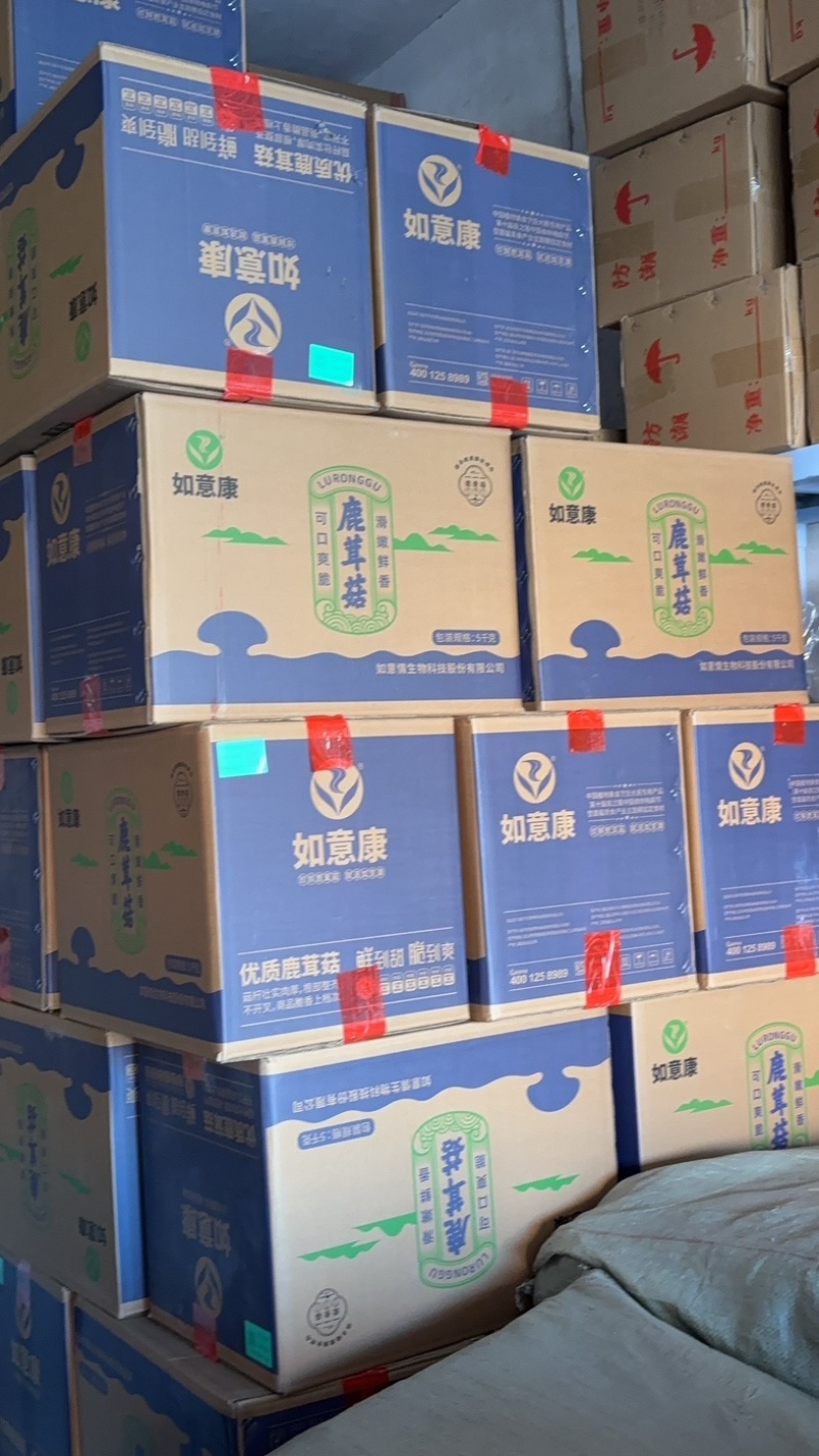 精品鹿茸菇，大量有货，产地直销，性价比高，欢迎选购
