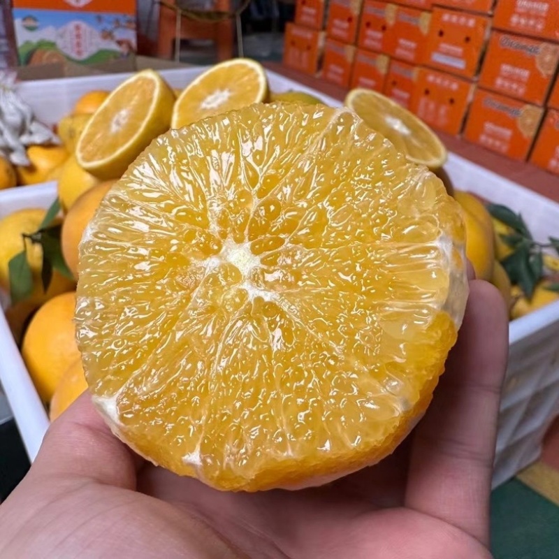纽荷尔脐橙湖北橙子批发真实报价不坑不骗诚信经营