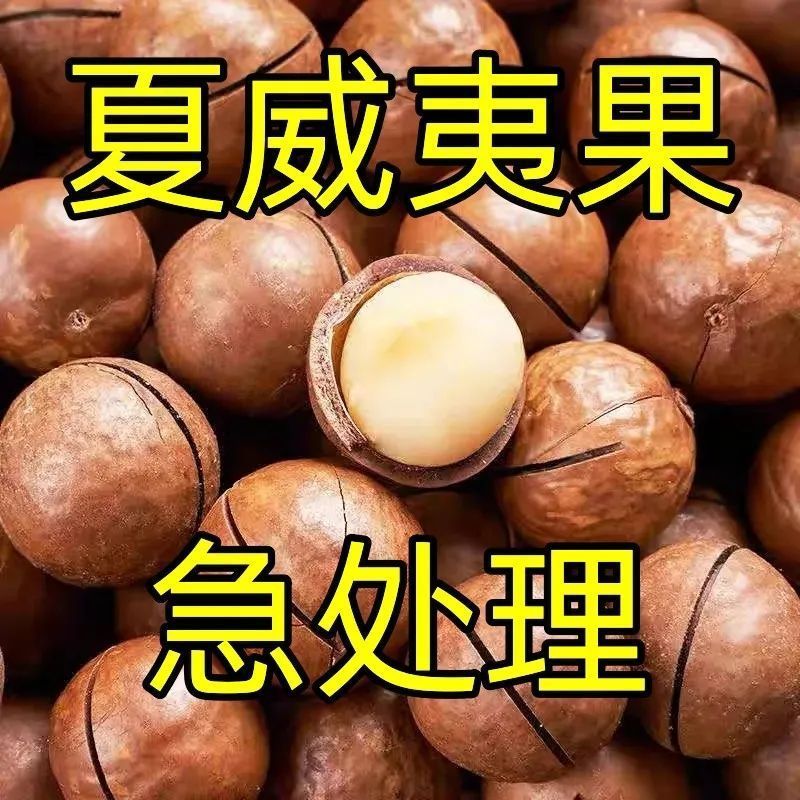 电商夏威夷果，支持一件代发