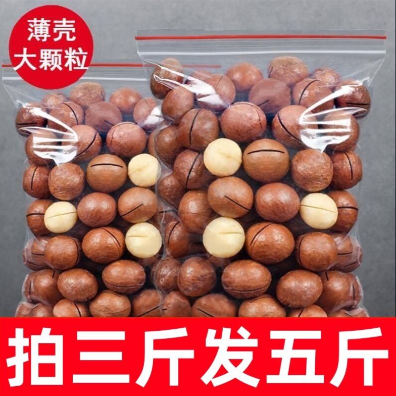 电商夏威夷果，支持一件代发