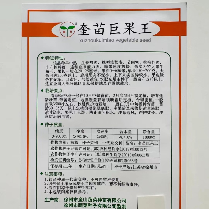奎苗巨果王巨薄辣椒种子大果牛角型抗病丰产座果强辣椒种子春