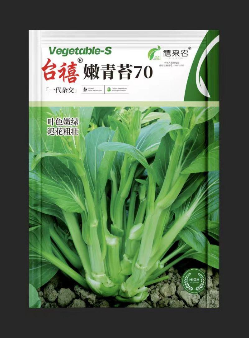 嫩青苔70菜苔种子迟熟口感清香甜脆苔杆嫩绿庭院蔬菜种子