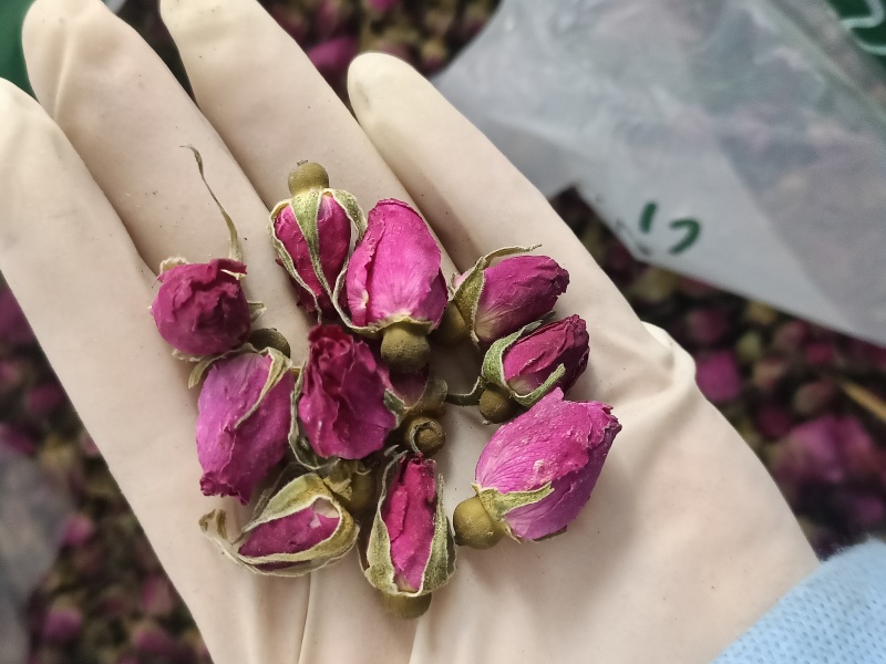 玫瑰花中药材优质金边玫瑰净货实物实拍
