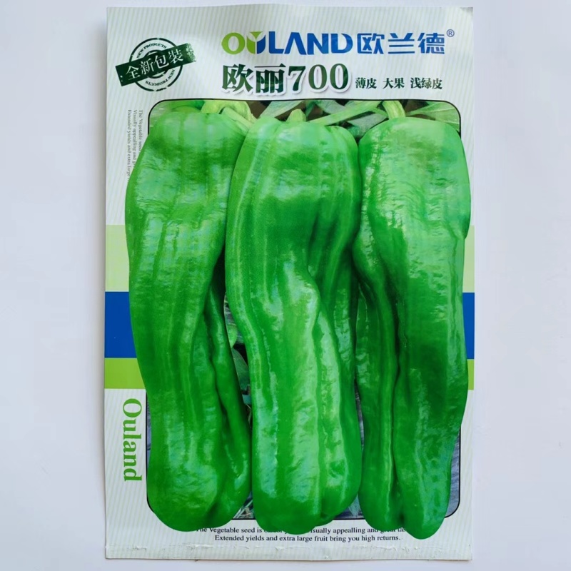 欧丽700超大薄皮辣椒种子农家夏秋季高产抗病超大果泡椒菜