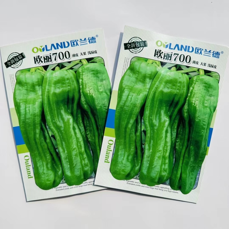 欧丽700超大薄皮辣椒种子农家夏秋季高产抗病超大果泡椒菜