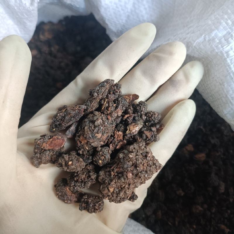 没药中药材没药净货干货实物实拍