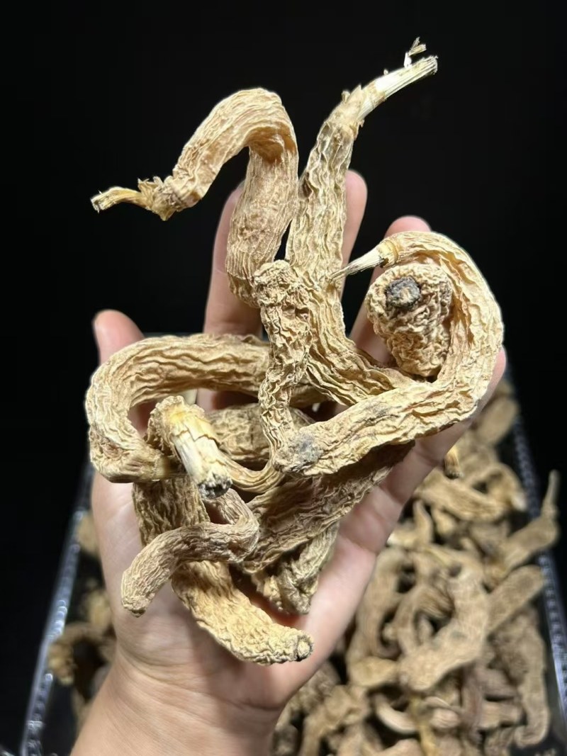 藏天麻野生天麻藏区采挖500g包邮批发高海拔无硫