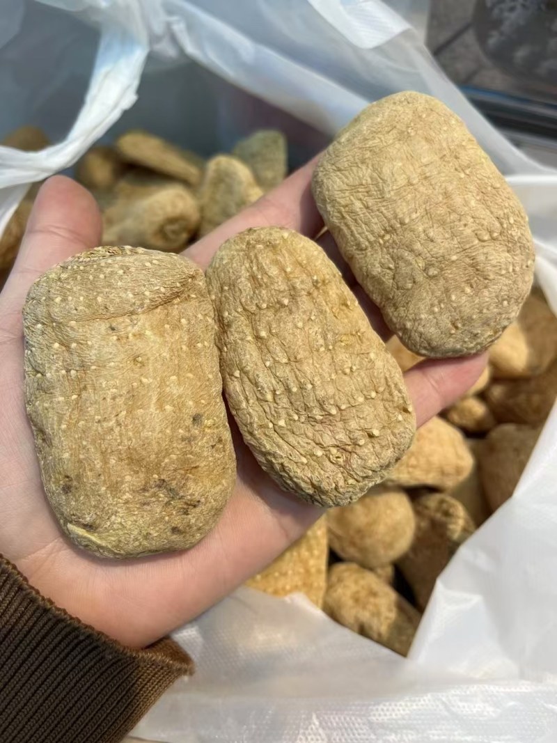 藏天麻野生天麻藏区采挖500g包邮批发高海拔无硫