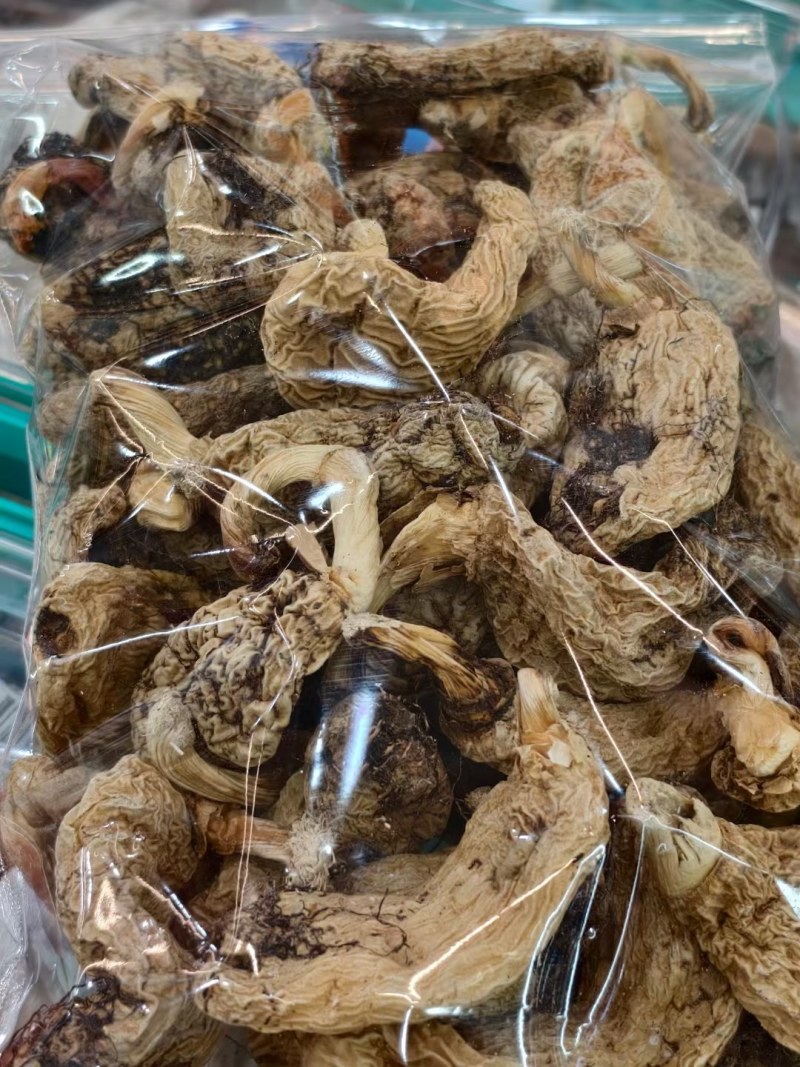 藏天麻野生天麻藏区采挖500g包邮批发高海拔无硫