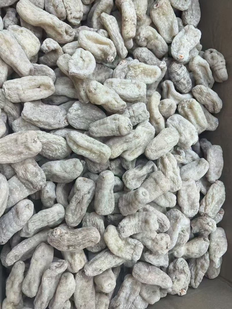 藏天麻野生天麻藏区采挖500g包邮批发高海拔无硫