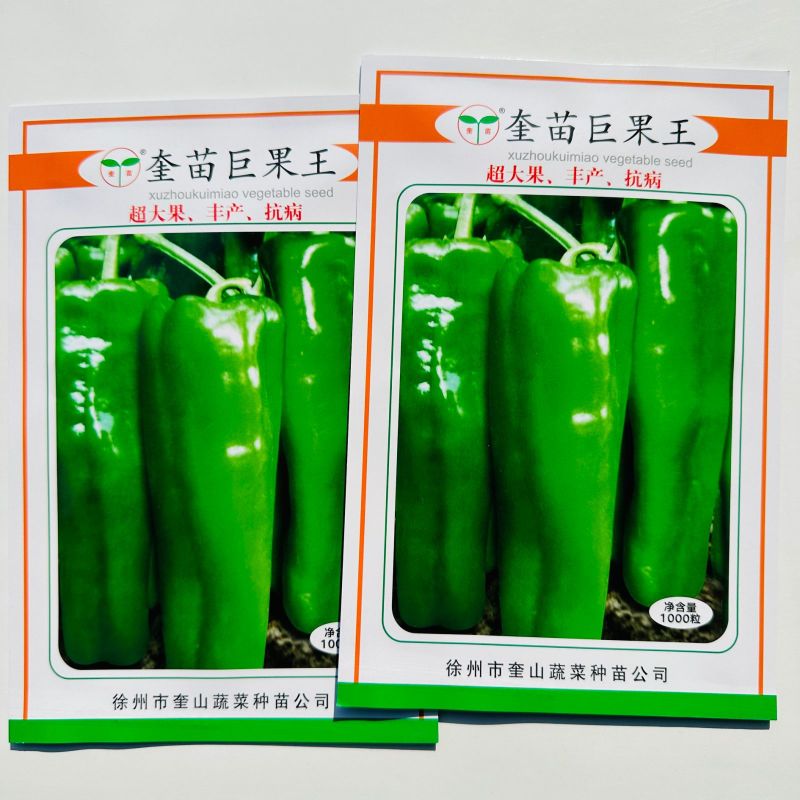 奎苗巨果王巨薄辣椒种子大果牛角型抗病丰产座果强辣椒种子春