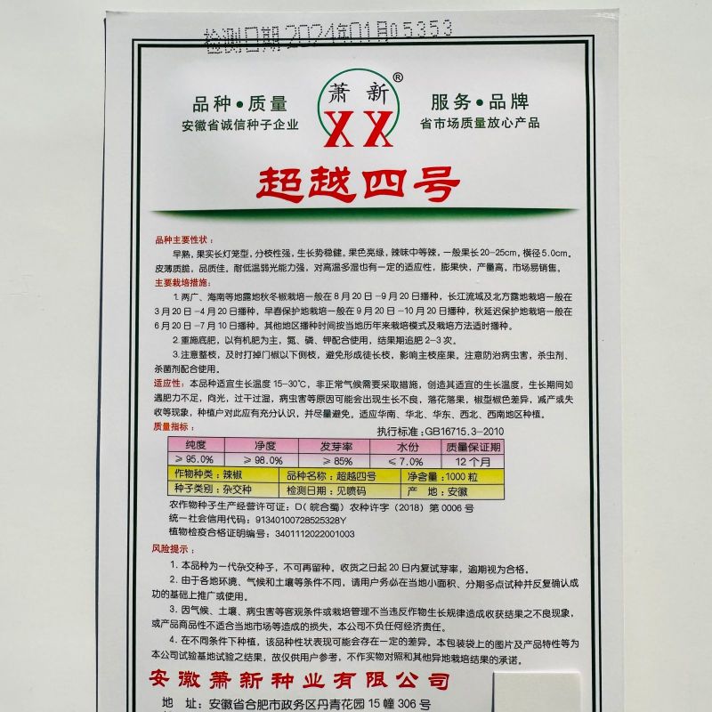 萧新超越四号辣椒种子早熟长灯笼形薄皮椒种子中辣果色亮绿产