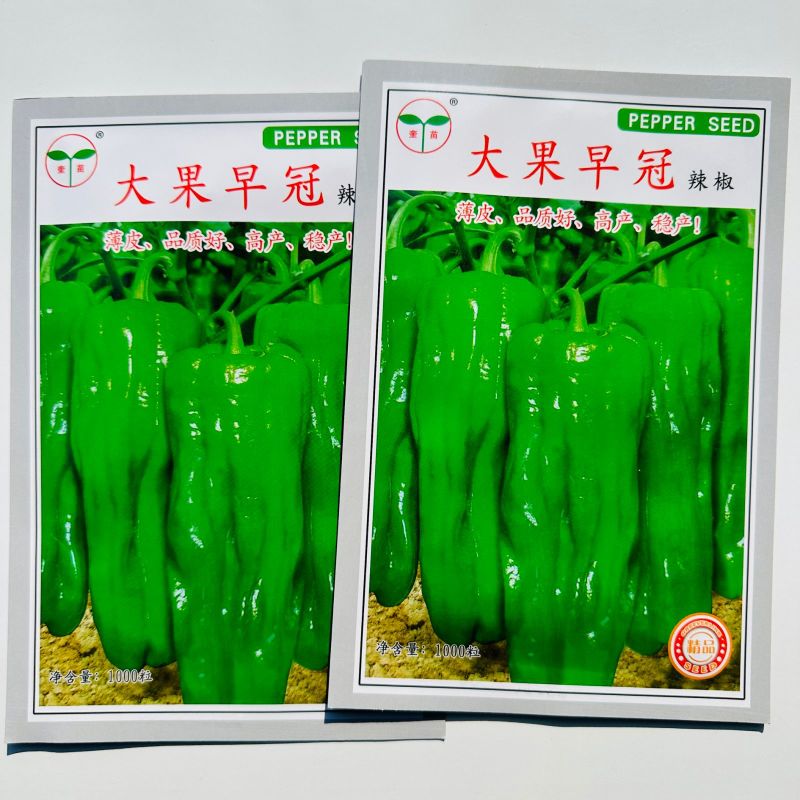 大果早冠辣椒种子早熟长灯笼型微皱薄皮椒泡椒种籽微辣春秋播