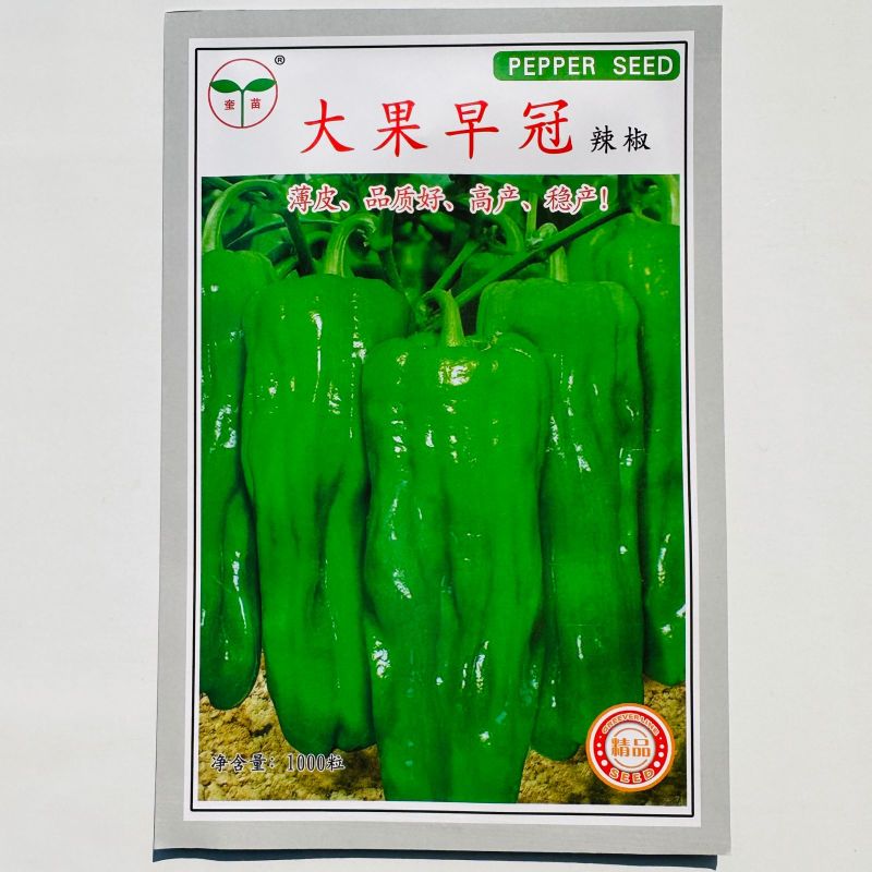 大果早冠辣椒种子早熟长灯笼型微皱薄皮椒泡椒种籽微辣春秋播