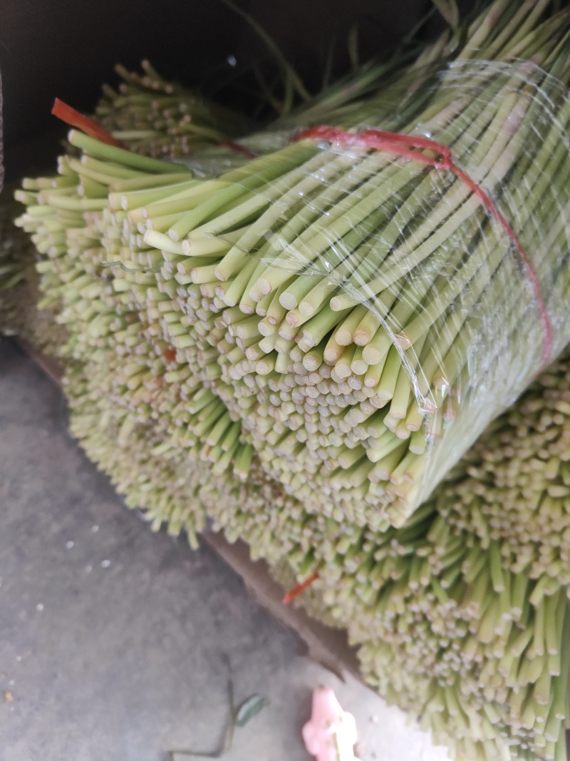 精品红帽蒜苔电商货市场货蒜薹蒜心价格低质量好