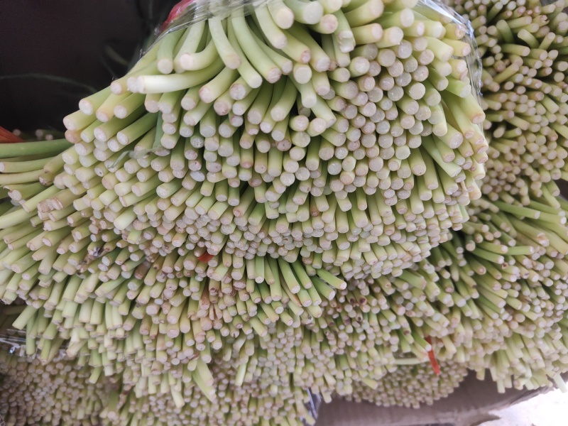 精品红帽蒜苔电商货市场货蒜薹蒜心价格低质量好