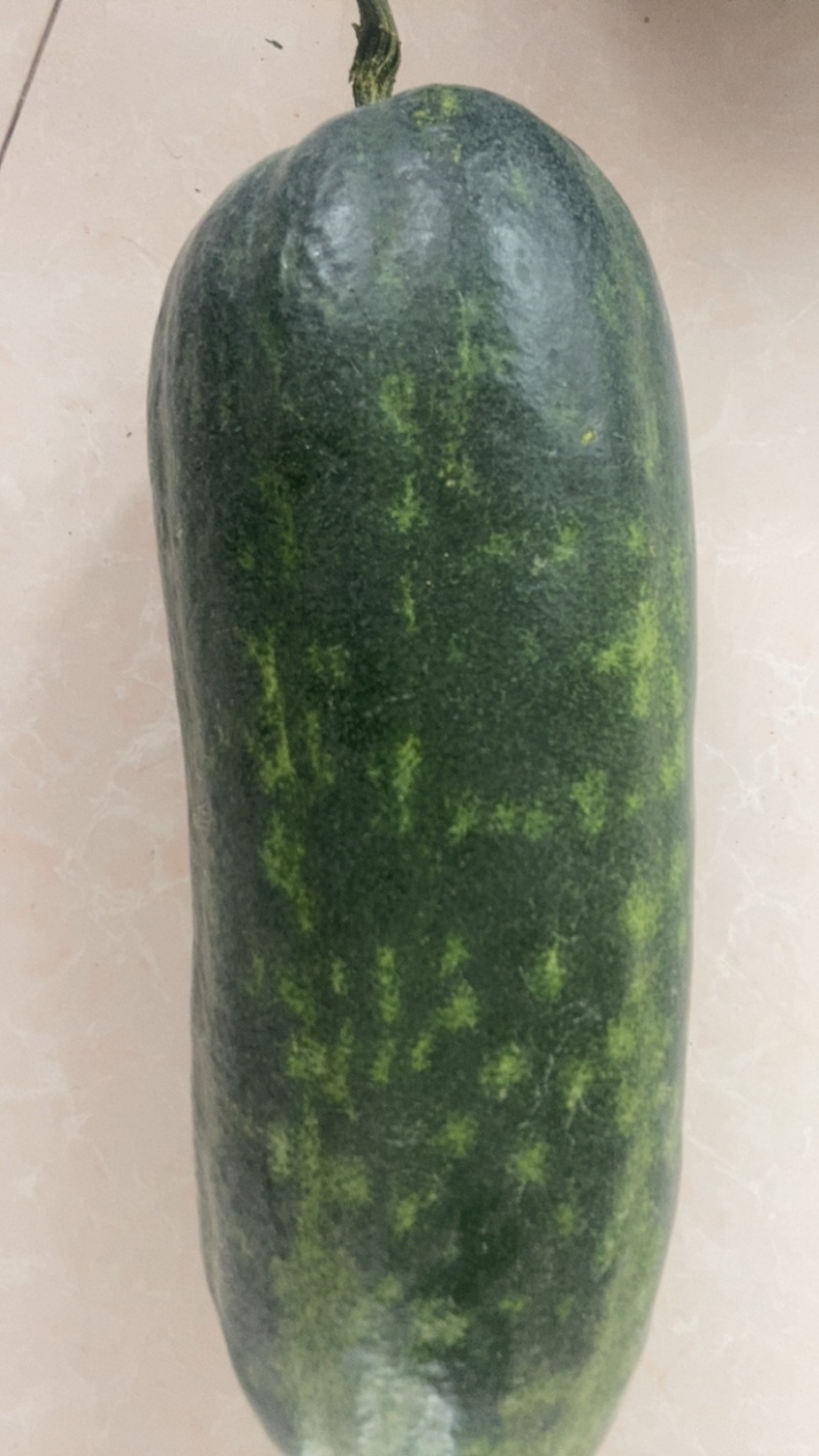 精品水果冬瓜