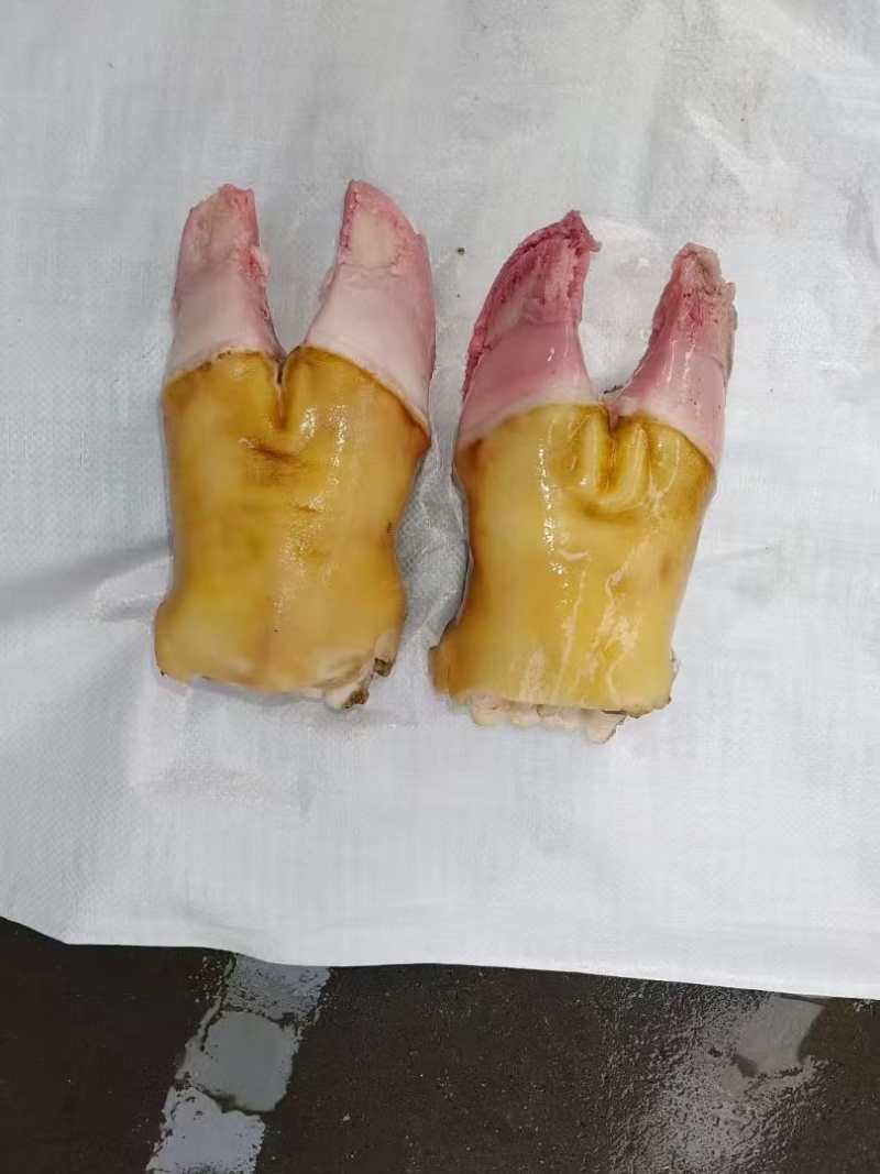 火烧牛掌