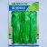 欧丽900辣椒种子大果薄皮泡椒实果长灯笼形嫩绿色口感好辣