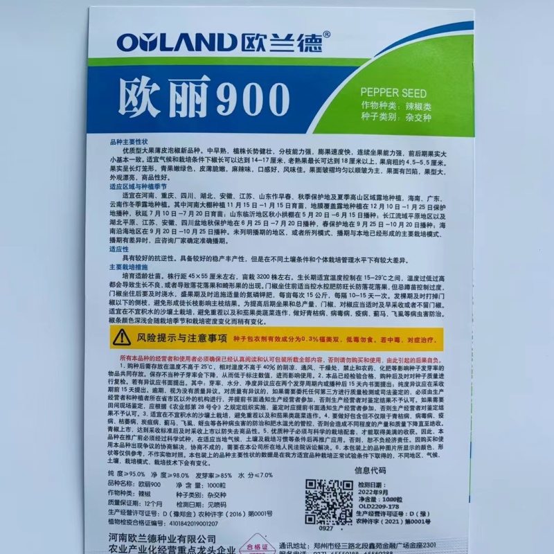 欧丽900辣椒种子大果薄皮泡椒实果长灯笼形嫩绿色口感好辣