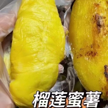 红瑶蜜薯