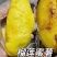 红瑶蜜薯