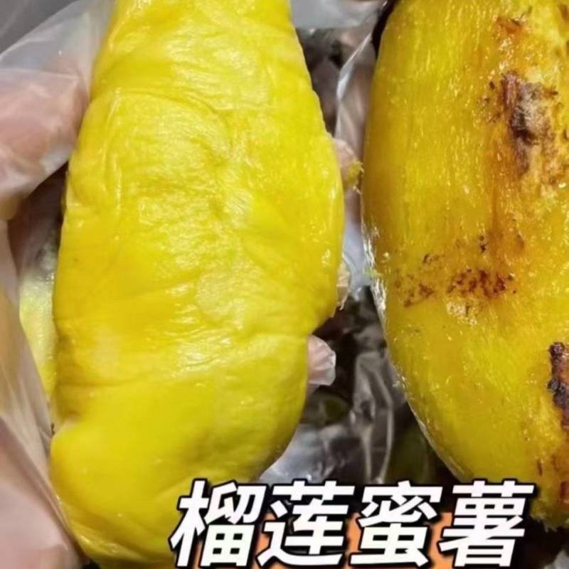红瑶蜜薯