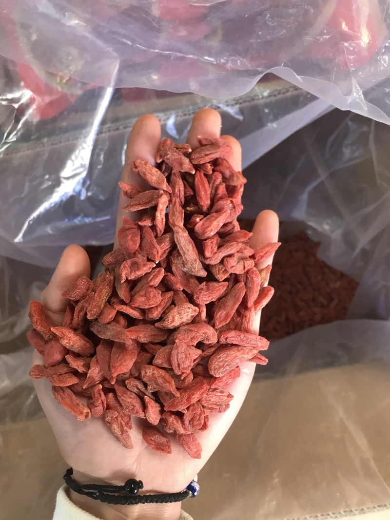 优质枸杞保质保量一手货源量大价优