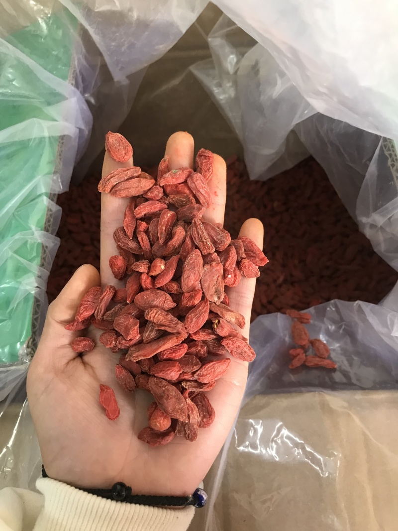 优质枸杞保质保量一手货源量大价优