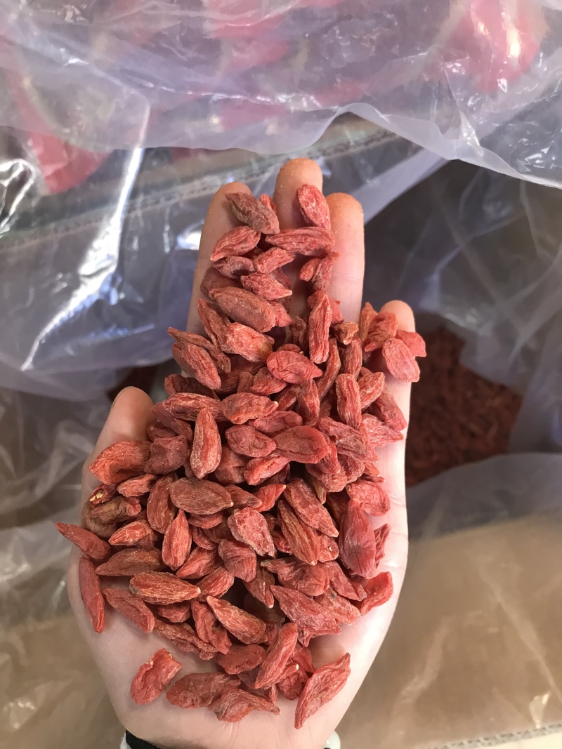 优质枸杞保质保量一手货源量大价优