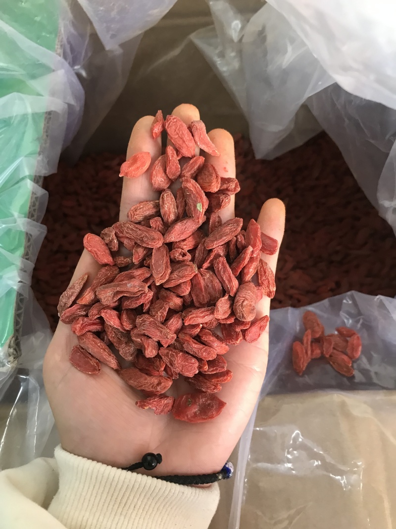 优质枸杞保质保量一手货源量大价优