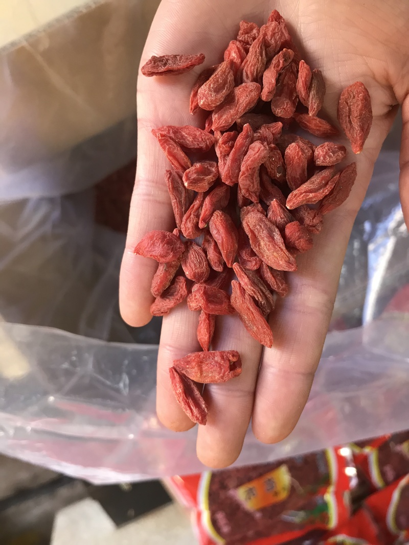优质枸杞保质保量一手货源量大价优