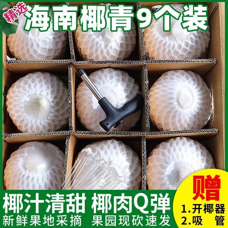 【热卖】海南椰青量大从优批发代发***********
